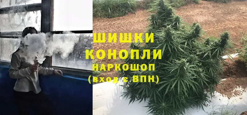 Бошки Шишки OG Kush  Трубчевск 